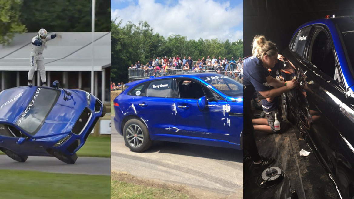 Video: Το σήκωσε, το έγδαρε, το έβαψε!