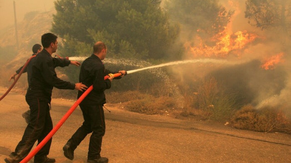 Δασική πυρκαγιά στο Απεσωκάρι Γόρτυνας στο Ηράκλειο 