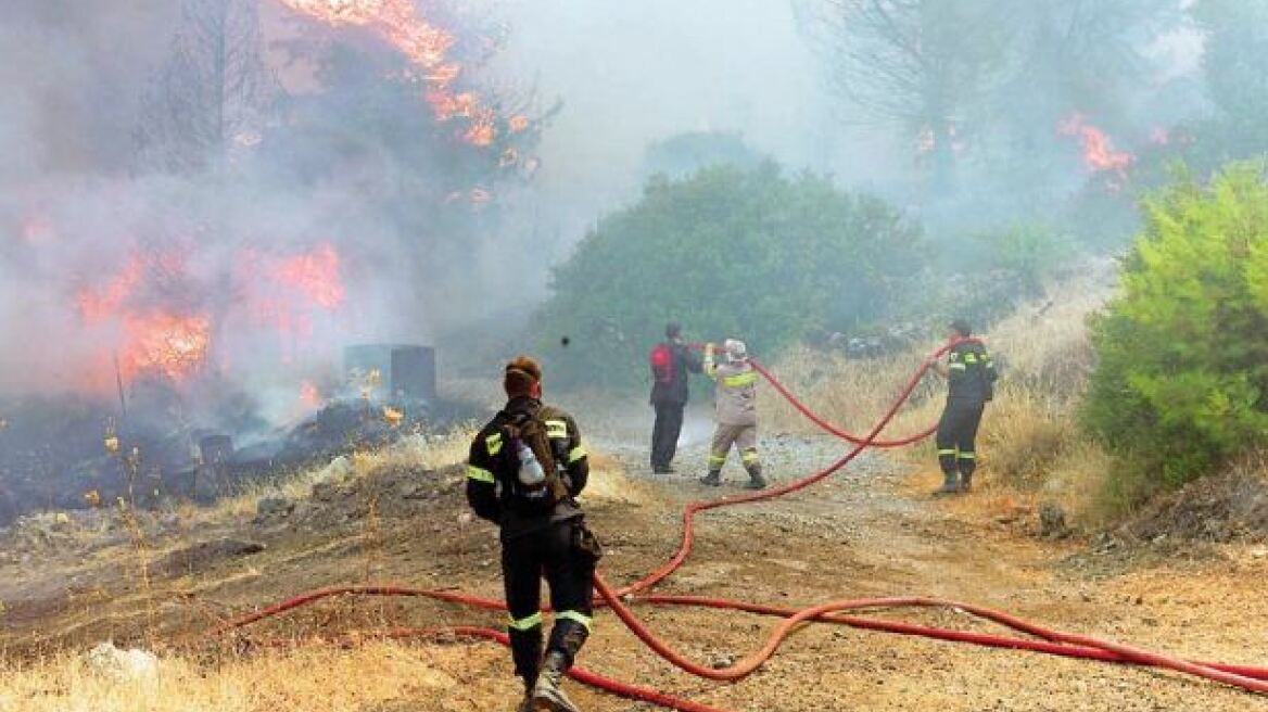 Υπό έλεγχο η πυρκαγιά στη Ναυπακτία