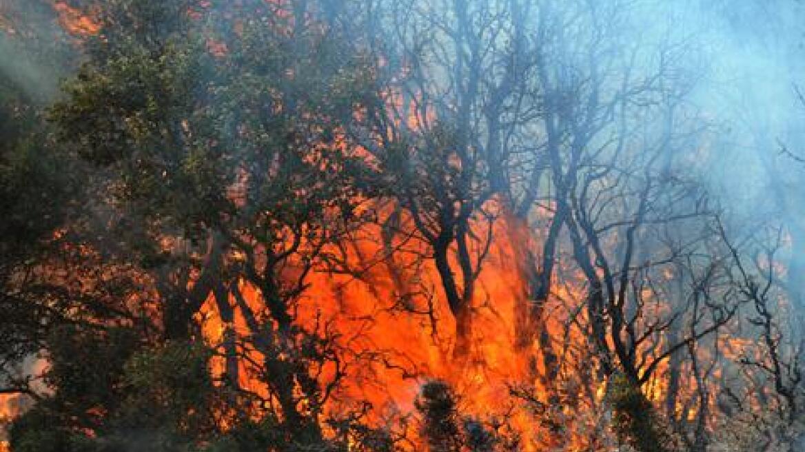 Υπό μερικό έλεγχο η φωτιά στην Παιανία - Πυρκαγιά στα Ψαρά