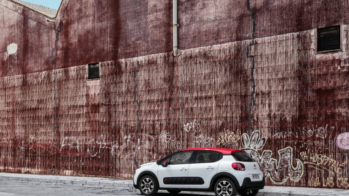 Γιατί δεν έχει φύλλα ο... κάκτος;