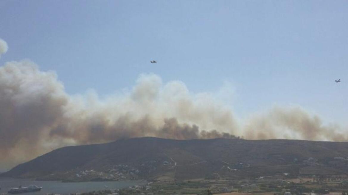 Υπό έλεγχο η φωτιά στην Άνδρο 