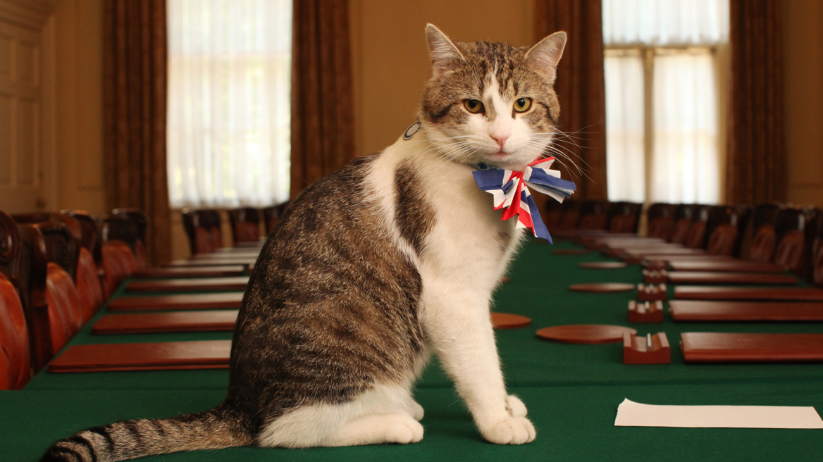 Η Τερέζα Μέι θα διατηρήσει τον διάσημο γάτο της Ντάουνιγκ Στριτ