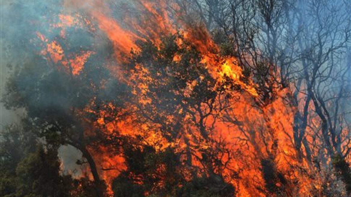 Υπό μερικό έλεγχο η πυρκαγιά στη Χαλκιδική