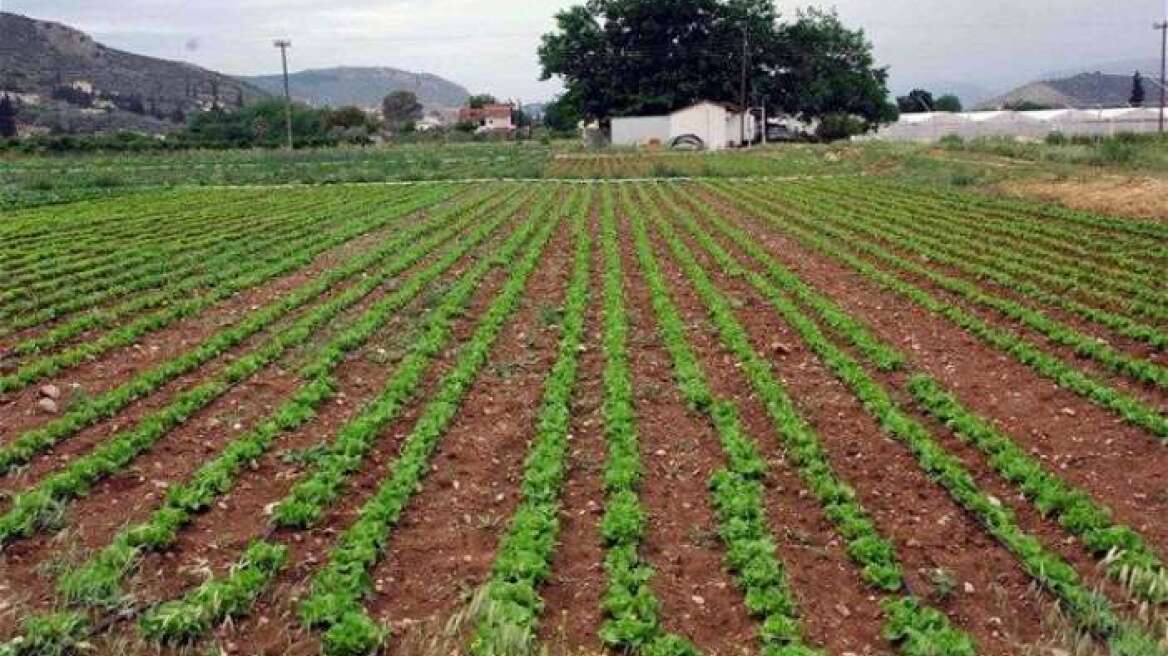 Τι αλλάζει σε ΕΝΦΙΑ, πιστοποιητικά και φορολόγηση επιχειρήσεων