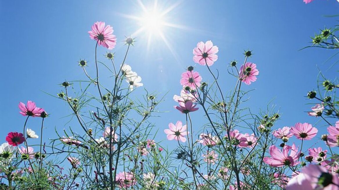 Έως 36 βαθμούς σήμερα η θερμοκρασία 