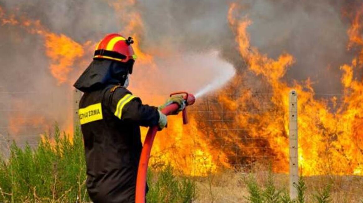 Two wildfires on Euboea island raging
