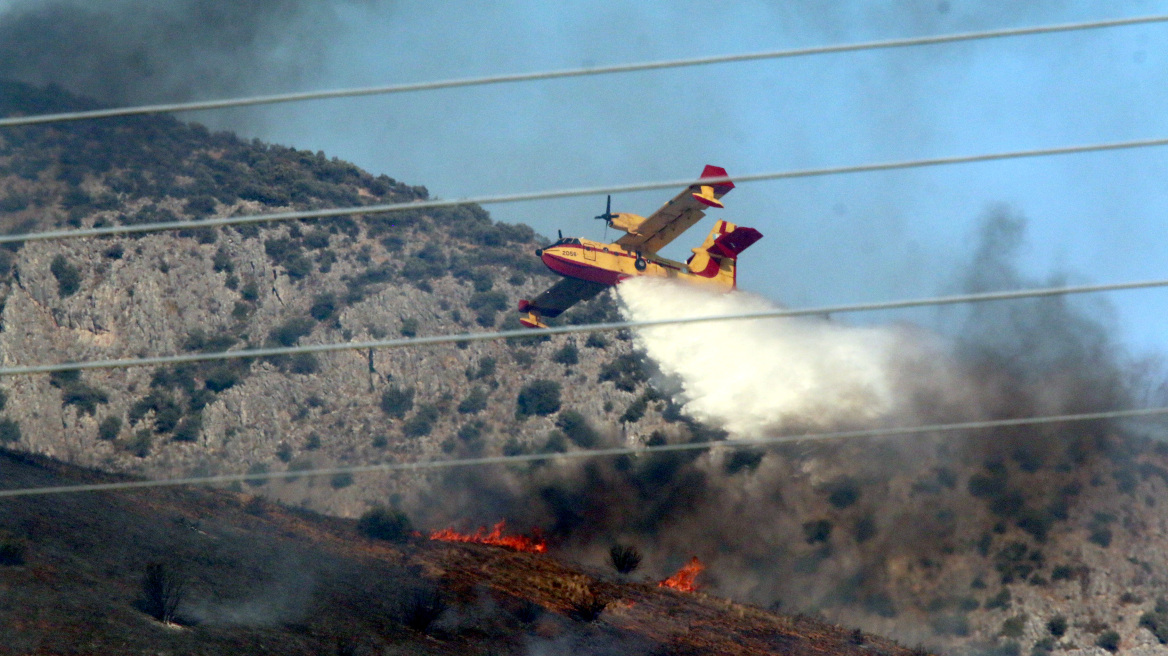 Μάχη με τις φλόγες περισσότερα από 40 μέτωπα την Παρασκευή