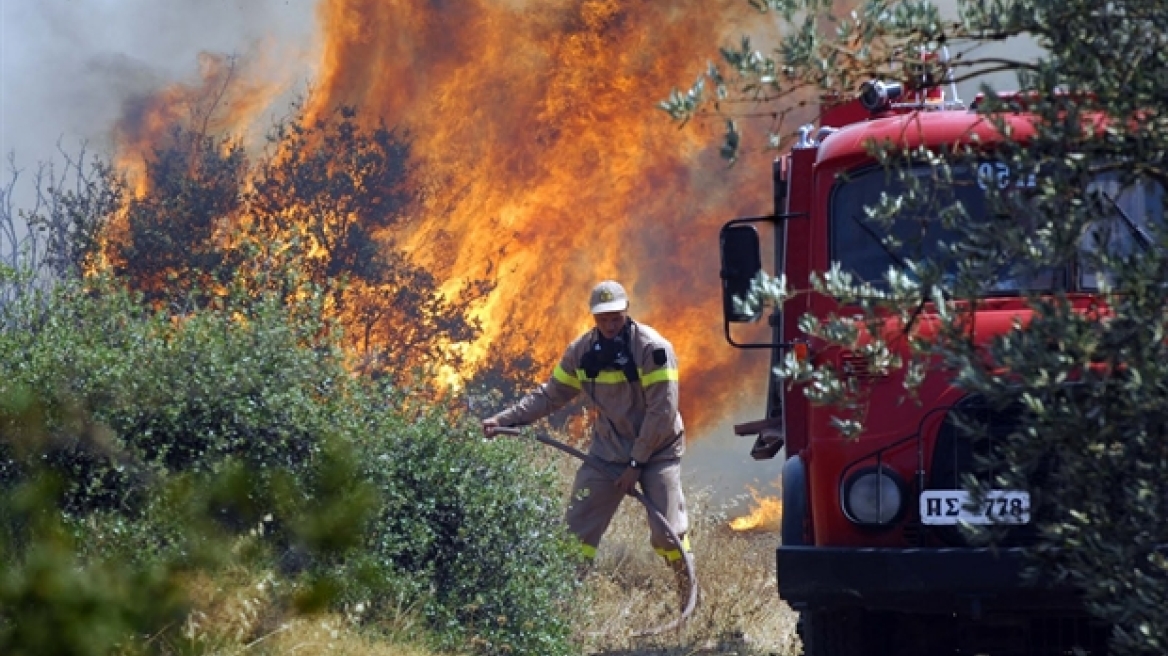 Πυρκαγιές σε Ρέθυμνο, Άρτα, Λακωνία, Νέα Μάκρη, Μέγαρα και Κέα