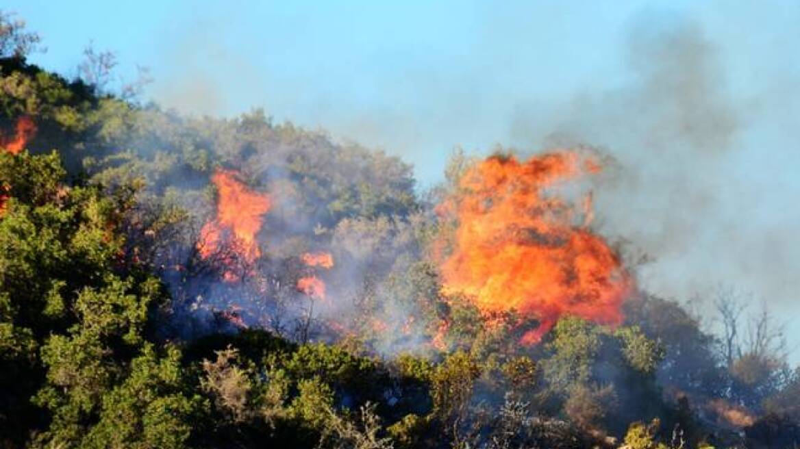 Νέες πυρκαγιές σε Κεφαλονιά και Μεσολόγγι
