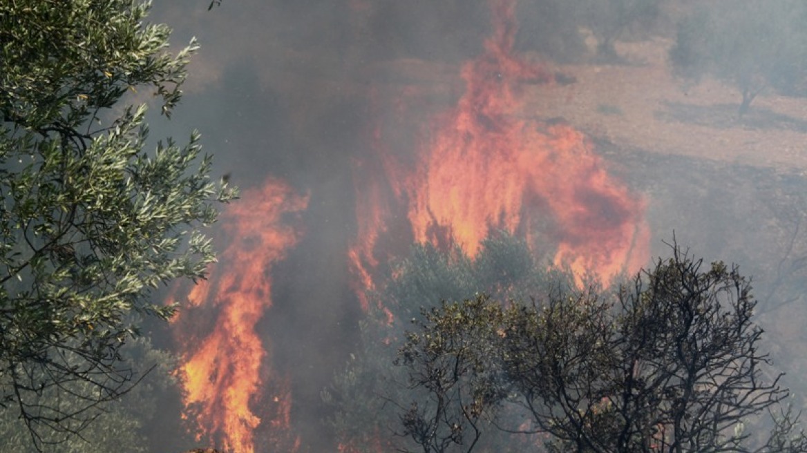 Φωτιά σε Ακράτα και Λάπα Αχαΐας