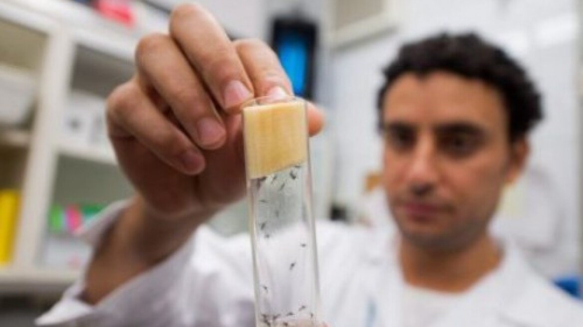 Σιγκαπούρη: Επιβεβαιώθηκαν 41 κρούσματα του ιού Ζίκα	