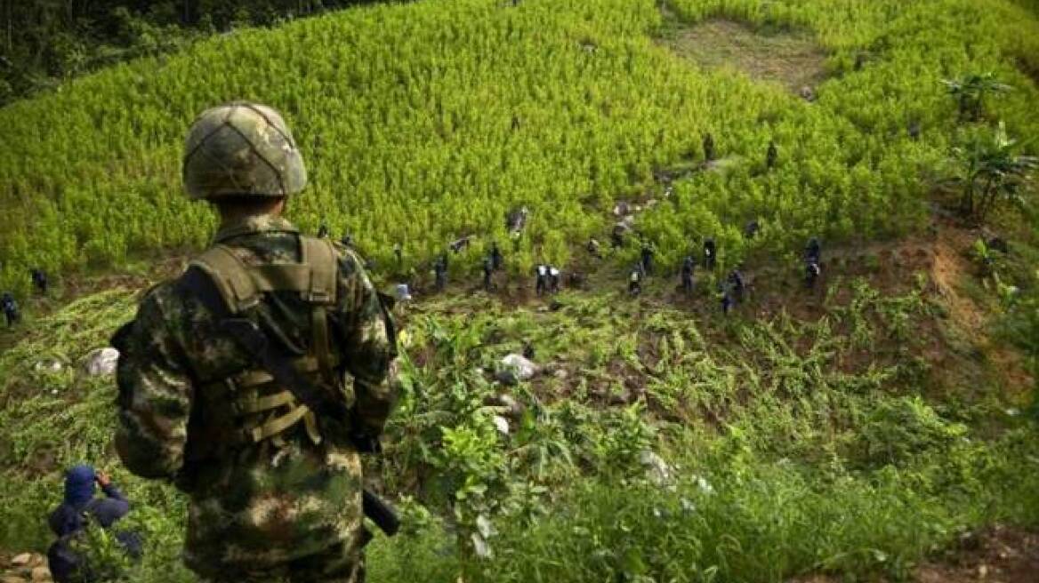 Κολομβία: Κατασχέθηκαν πάνω από δύο τόνοι κοκαΐνης