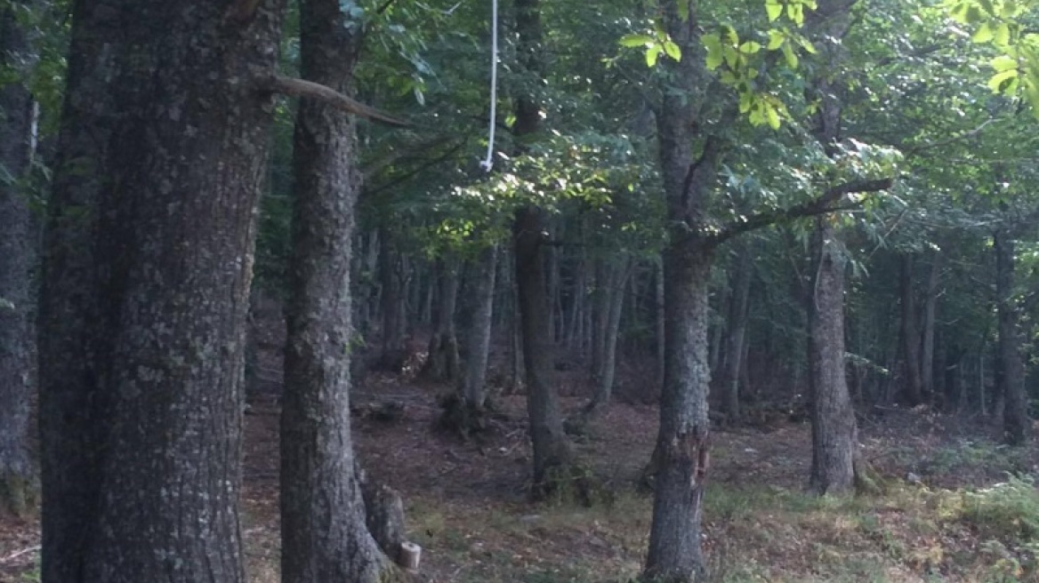 Θεσσαλονίκη: Άνδρας βρέθηκε απαγχονισμένος στο δάσος