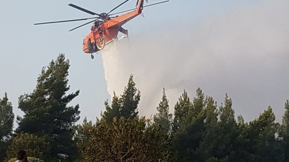 Υπό μερικό έλεγχο η πυρκαγιά στη Νότια Εύβοια