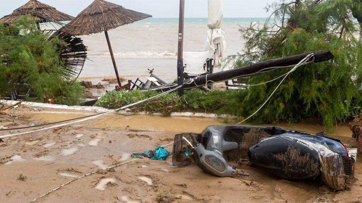 Extreme weather leaves disaster in its path (videos+photos)
