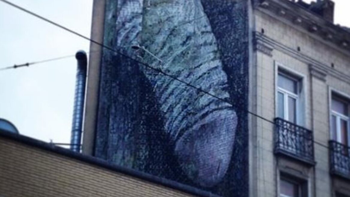  Giant penises appear on Brussels’ walls