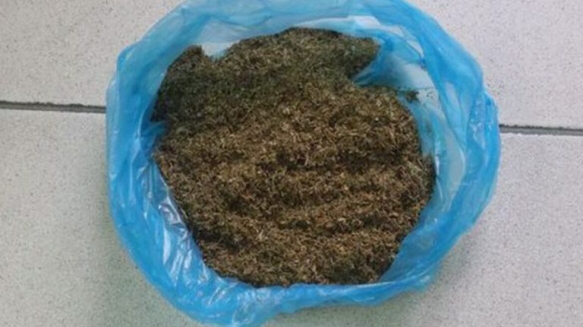 Ηράκλειο: Άλλη μία οικογένεια με παραγωγή χασίς