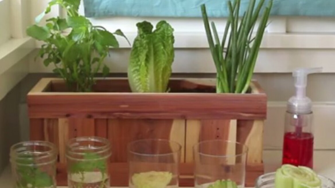 Βίντεο: Φτιάξε το δικό σου μποστάνι από… αποφάγια