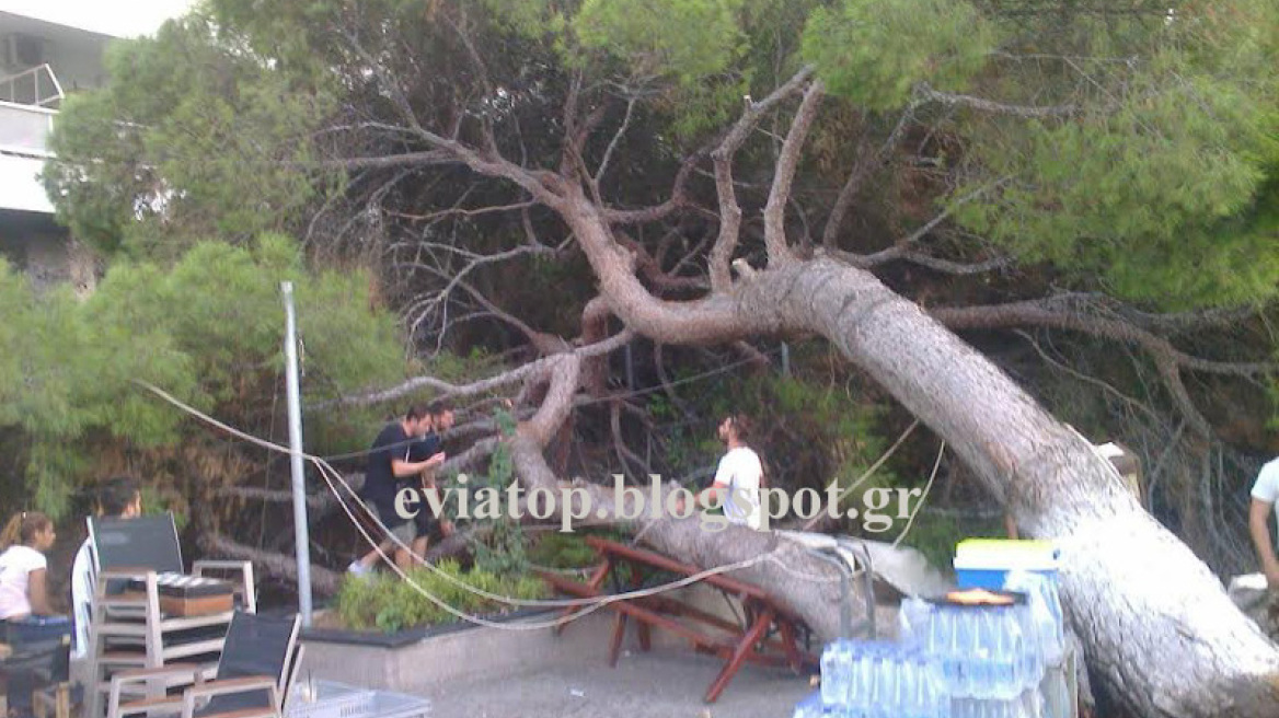 Δέντρο έπεσε σε τραπέζια καφετέριας στη Χαλκίδα