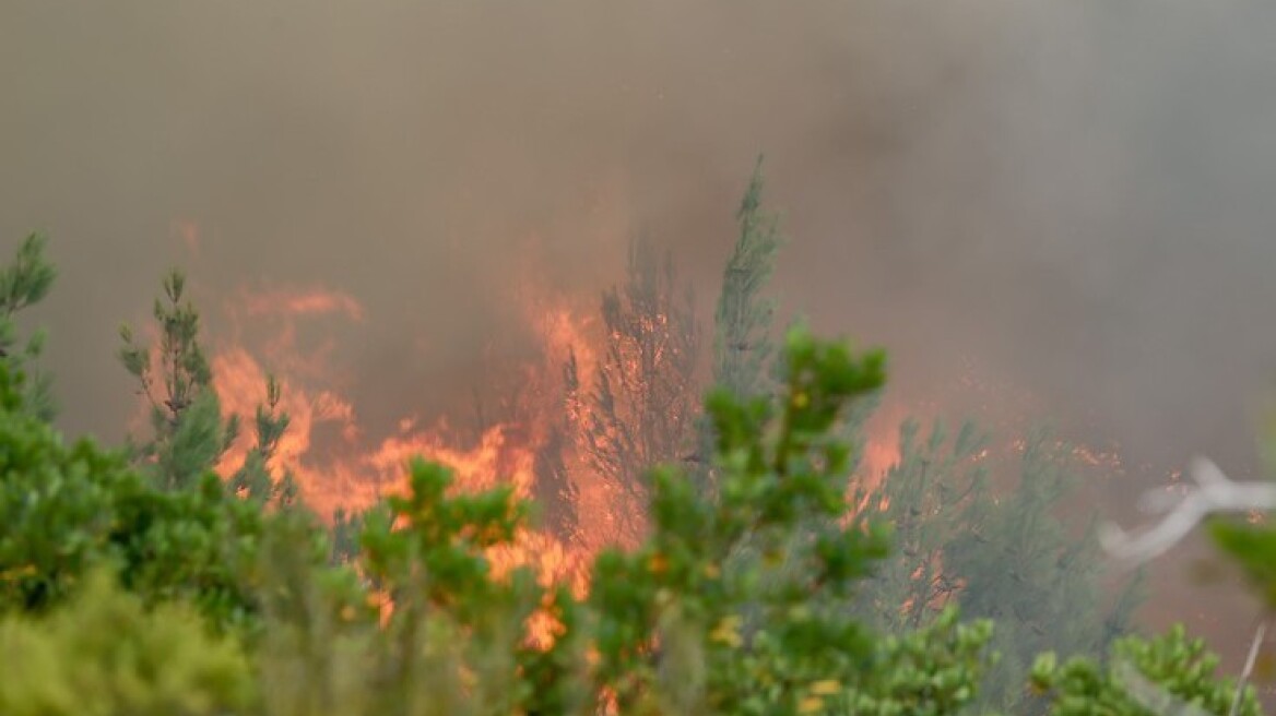 Μεγάλη φωτιά κοντά στα Καμένα Βούρλα 