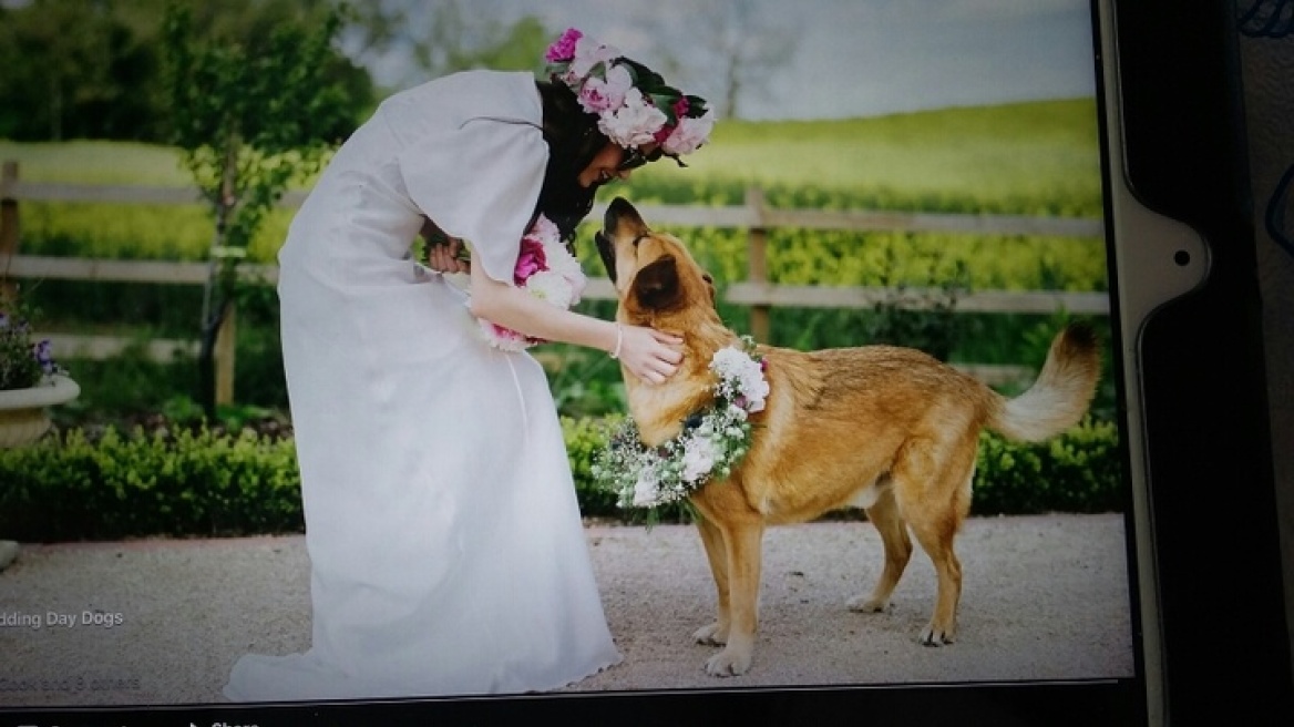 Από αδέσποτο στη Ρόδο... μοντέλο στη Vogue!