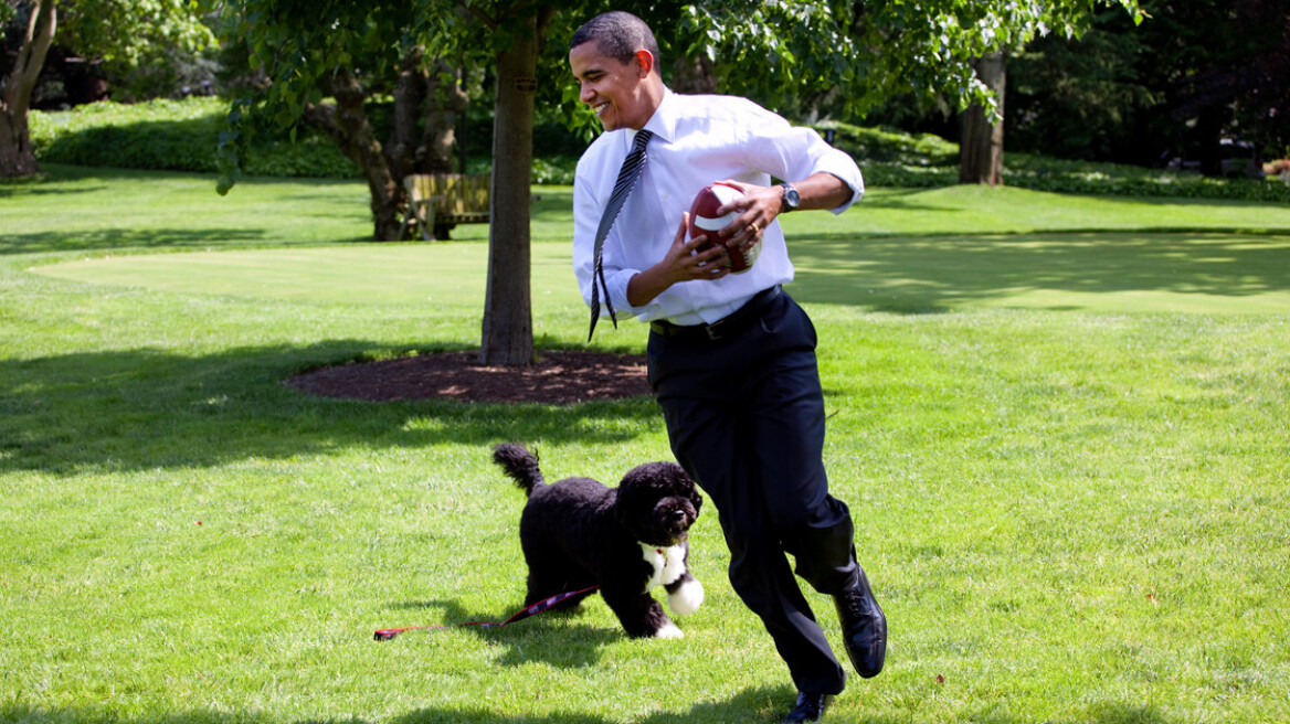 10 US “first” dogs