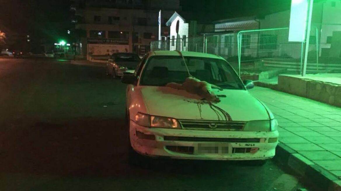 Κύπρος: Έδεσε αλεπού πίσω από το αυτοκίνητο και την έσερνε