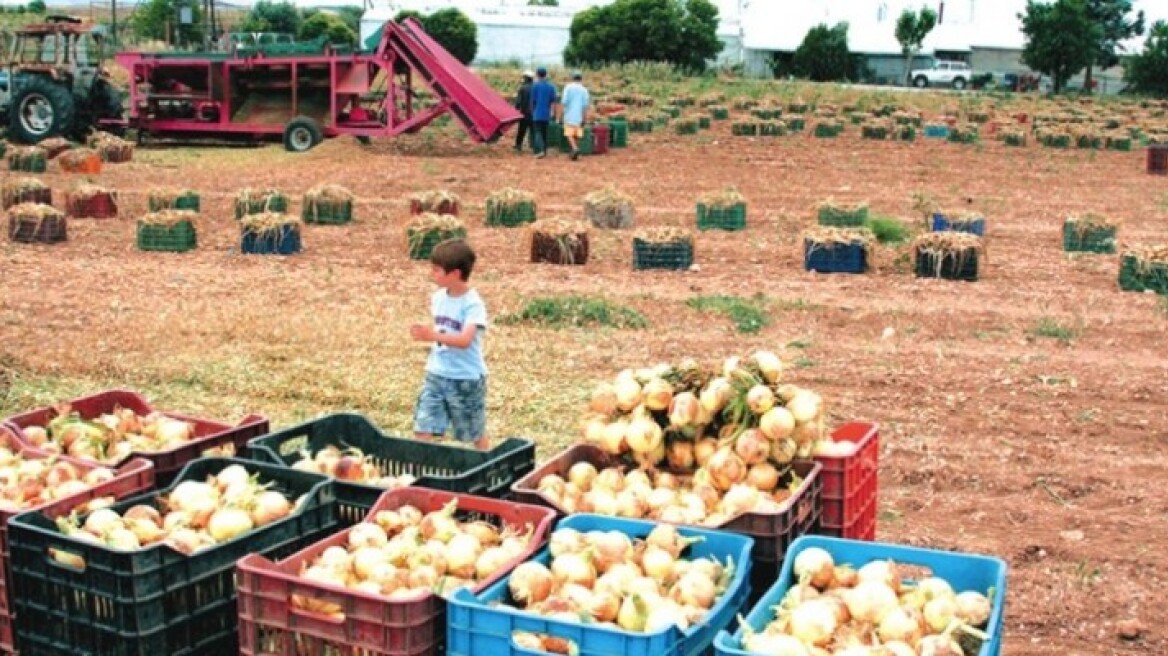 Ανησυχία για την παρατεταμένη ανομβρία στη Ρόδο 