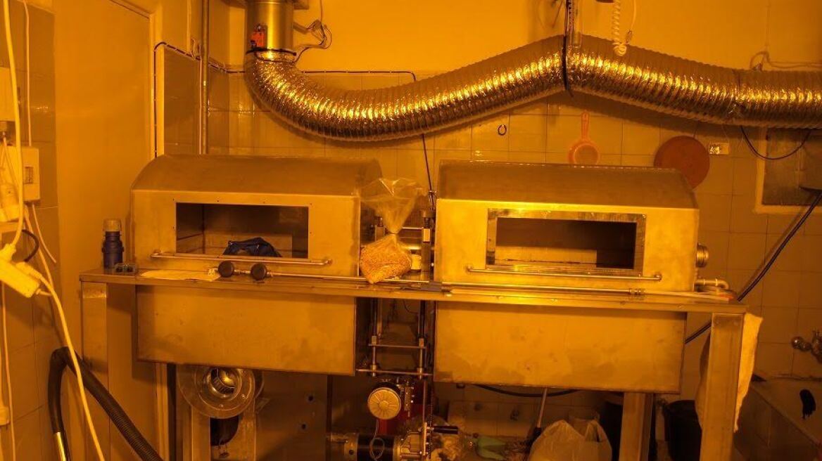 Πύργος: Καλλιεργούσαν χασισοφυτείες σε σπίτι και σε δάσος