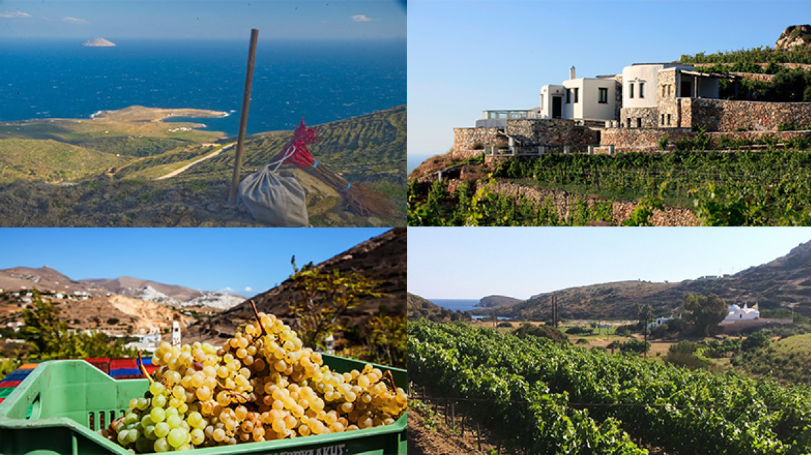 Μπουκάλια κρασί ριγμένα στο (Αιγαίο) πέλαγος