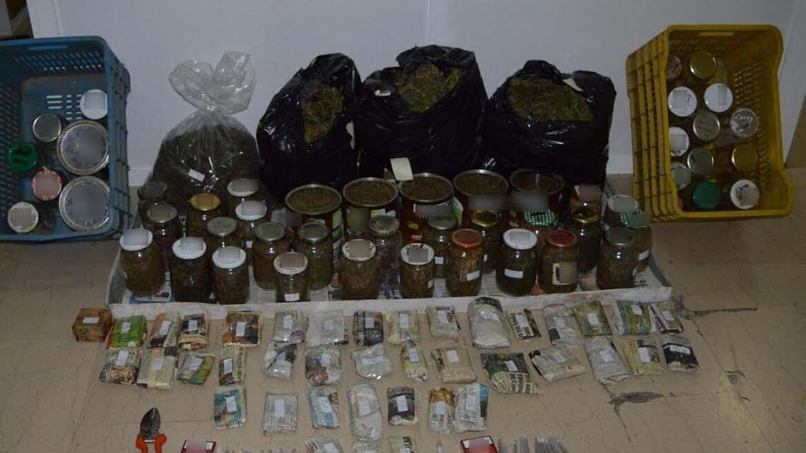 Αδέλφια τρύγησαν 13 κιλά χασίς από φυτεία στην Πέλλα