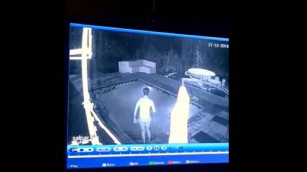 Κροκόδειλος επιτίθεται σε ζευγάρι που βρισκόταν μέσα στην πισίνα (ΒΙΝΤΕΟ)