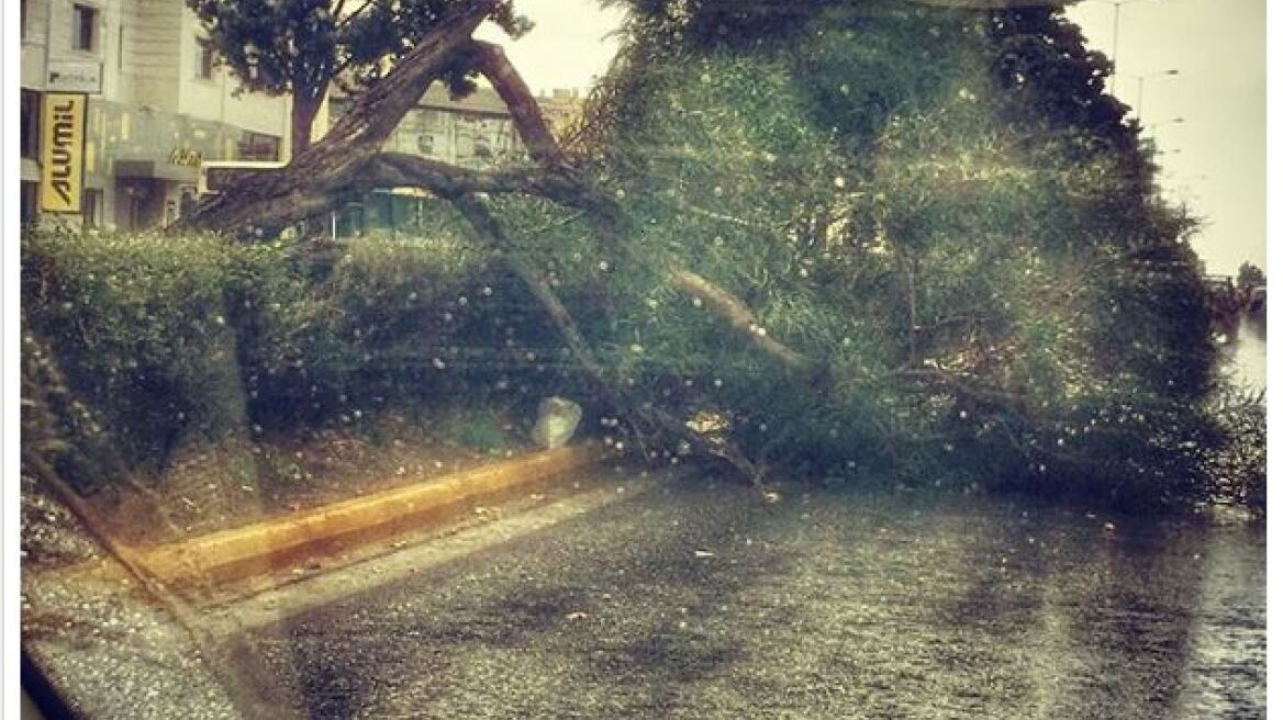 Τα έχασε η σύντροφος του Στέλιου Ρόκκου - Ένα δέντρο της έκοψε το δρόμο