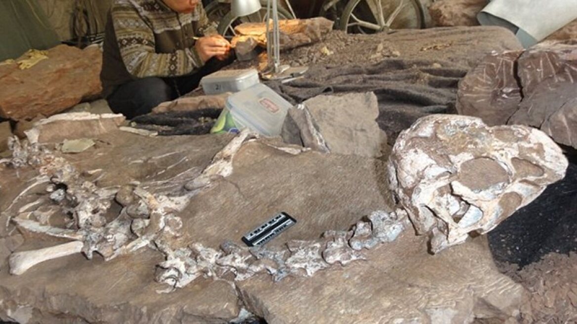 72 million year-old dinosaur fossil found (photo)