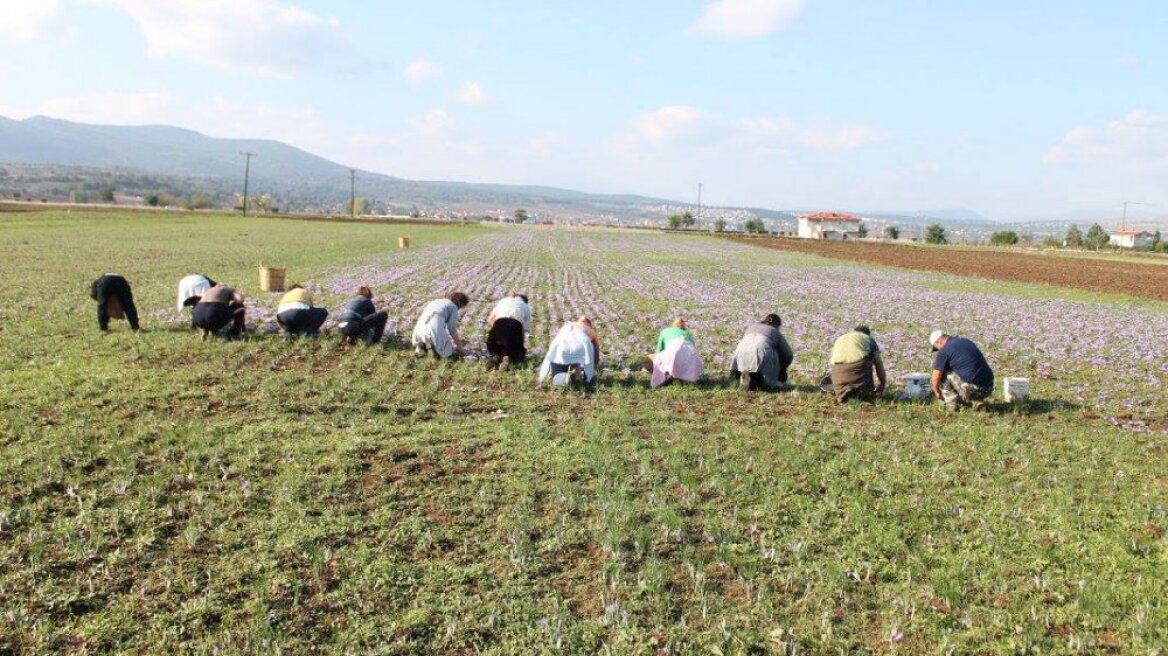Το μέλλον της γεωργίας είναι στα προϊόντα με αναγνωρίσιμο... παρελθόν