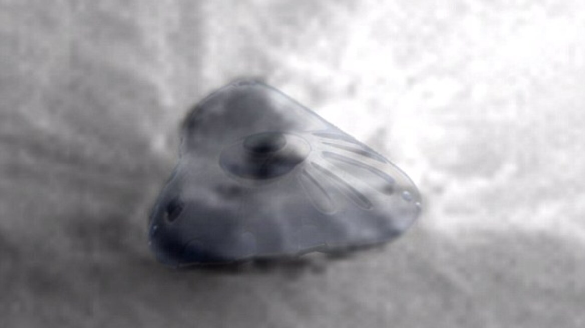 Φωτογραφίες: Κυνηγοί UFO ισχυρίζονται ότι βρήκαν εξωγήινο διαστημόπλοιο στον Άρη