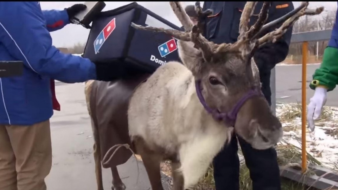 Ξεχάστε τα drones! Τα Χριστούγεννα η Domino's ξεκινά delivery με ταράνδους