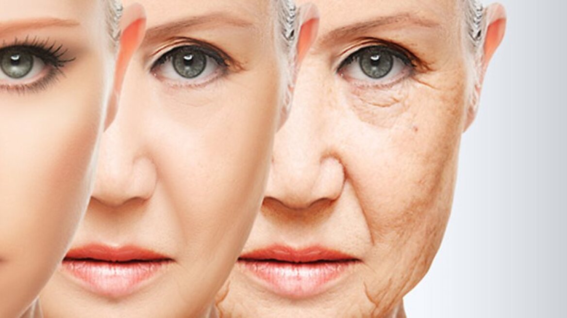 Ageing could be reversed, scientists say