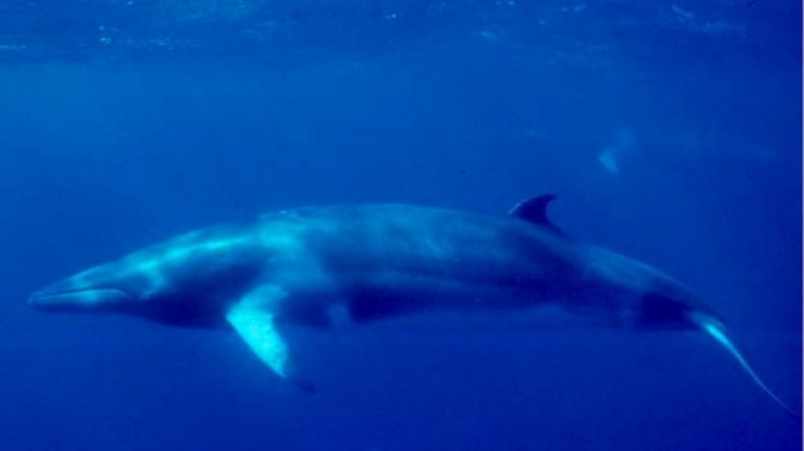 Ο μυστηριώδης ήχος στο βαθύτερο σημείο της Γης