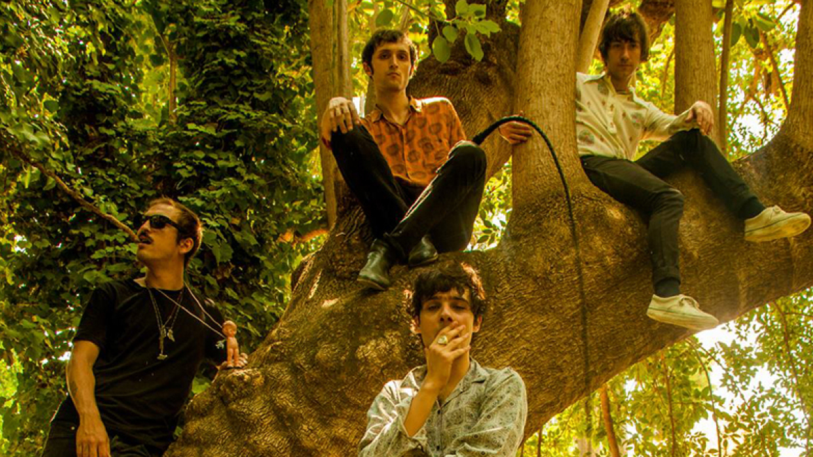 Ο Διογένης και ένα... λαχανικό στα Εξάρχεια