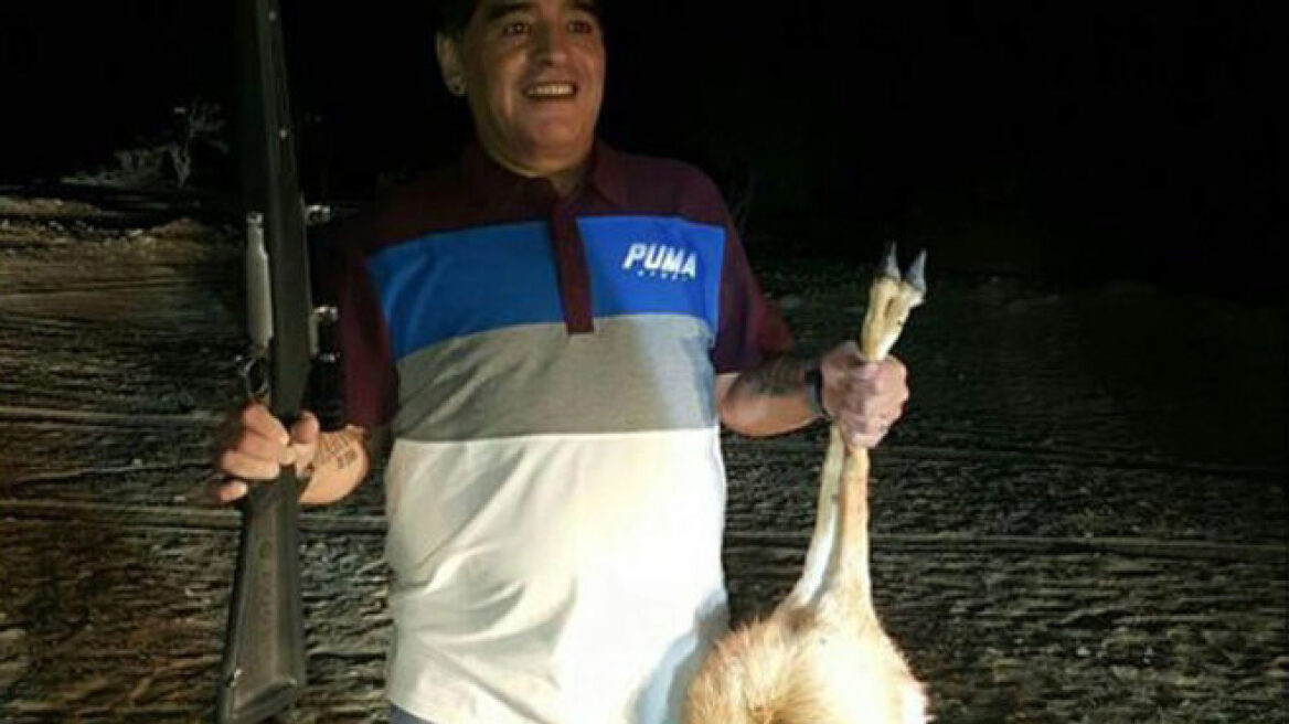 Χαμός: Ο κυνηγός... Μαραντόνα σκότωσε σπάνιο είδος νεαρής αντιλόπης