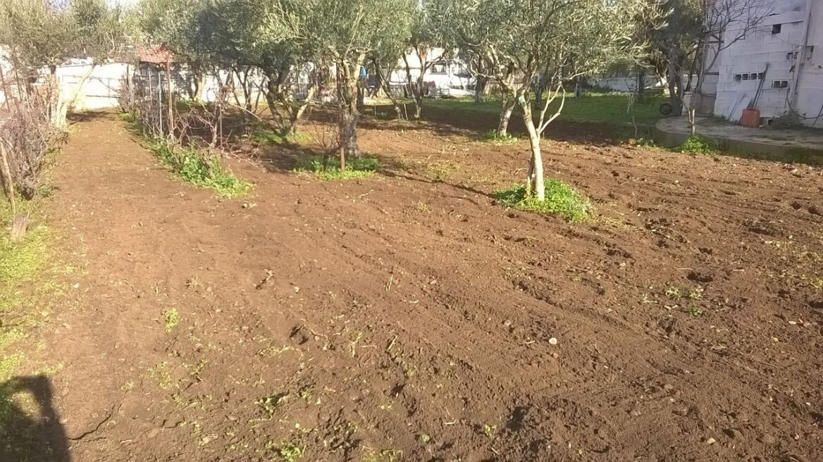 Ρέθυμνο: Είχε σκάψει στο χωράφι για να κρύψει το… χασίς