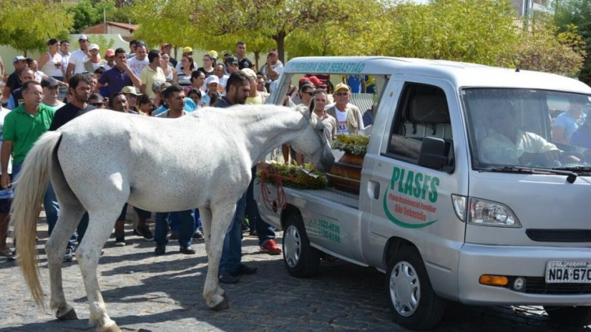 Το συγκινητικό αντίο ενός αλόγου στην κηδεία του ιδιοκτήτη του