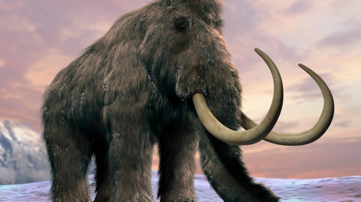 Humans walked and hunted on the Arctic 10,000 years earlier than initially believed