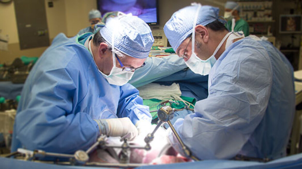 Πέτυχαν μεταμόσχευση οργάνων που αναπτύχθηκαν σε διαφορετικό είδος ζώου