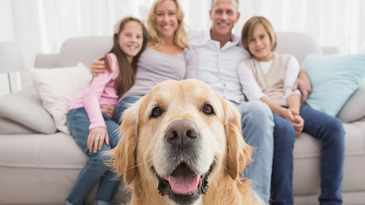 Pet custody law in Alaska for divorced couples…
