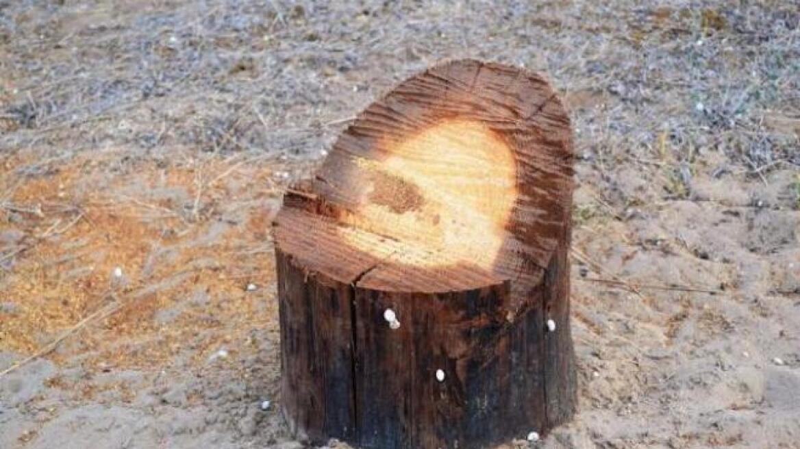 Έκοψαν κολώνα της ΔΕΗ και έκλεψαν τον μετασχηματιστή!