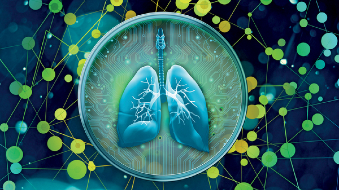 Synthetic organs: We’re one step closer to having bioartificial kidneys!