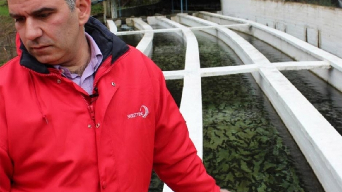  Γ. Γεροντίδης (G-fish): Σολωμός από τον... Ταύγετο